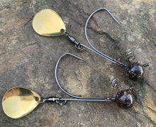 Load image into Gallery viewer, Spin Dr’s